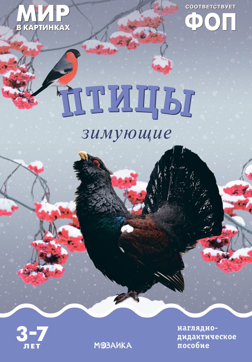 Je suis dans les cartes. Птицы зимующие