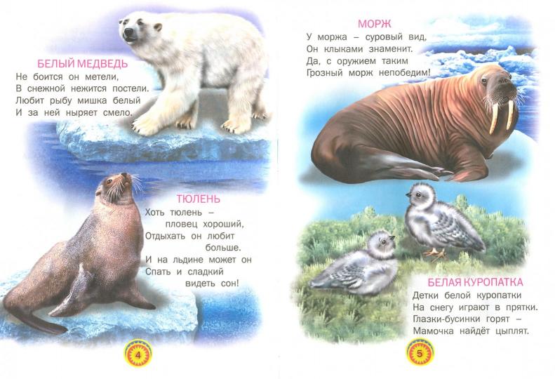Zooparc de Malichkin