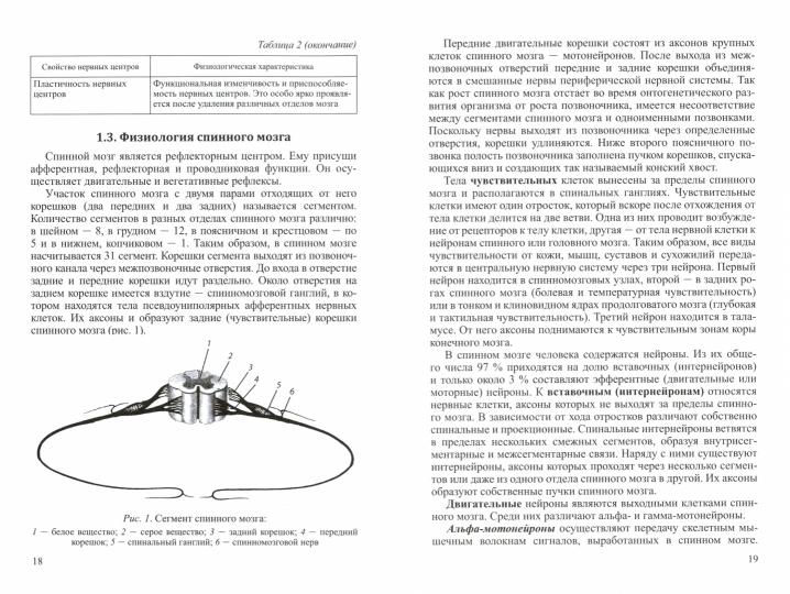 Патологическая физиология нервной системы: Учебное пособие