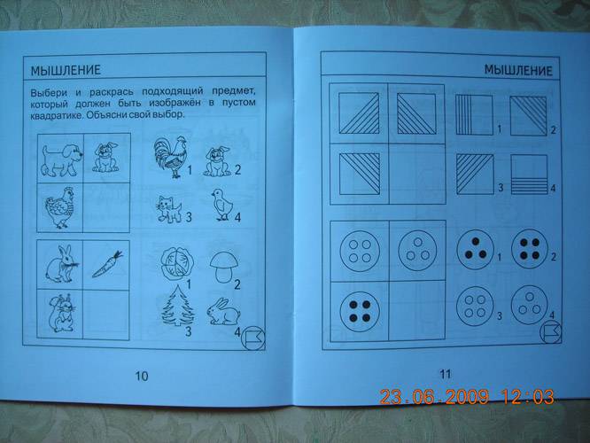 7лет ч2 Вниман., память, мышл., мелк. moto