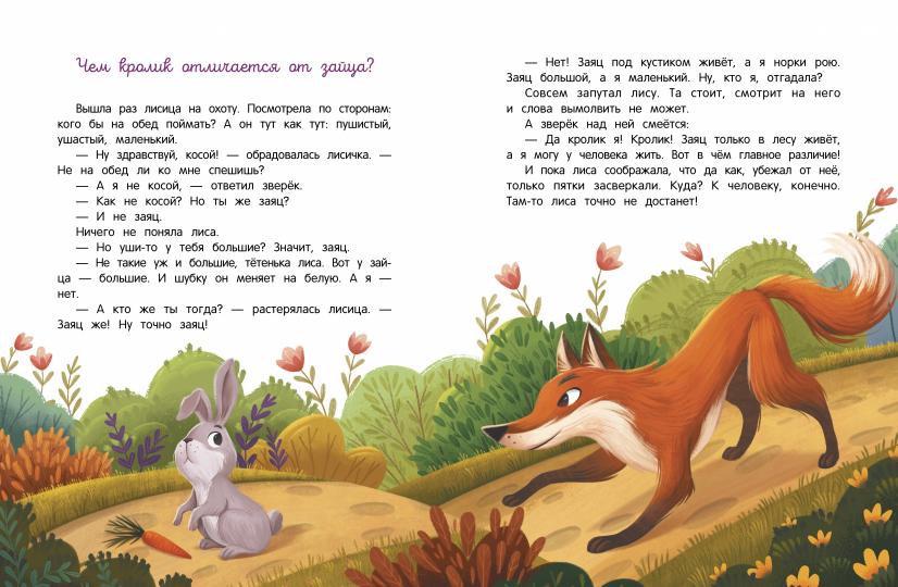 Encyclopédie domestique pour les petits chiens