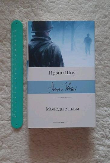 Молодые львы