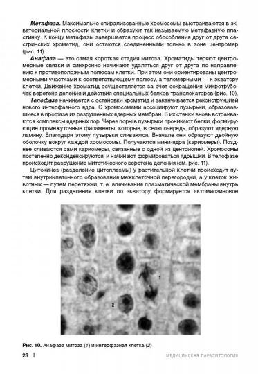Parasitologie médicale : Учебное пособие. 2-е изд., доп. et перераб. Мяндина Г.И.