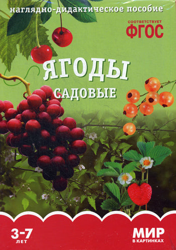 Je suis dans les cartes. Ягоды садовые: наглядно-дидактическое пособие.