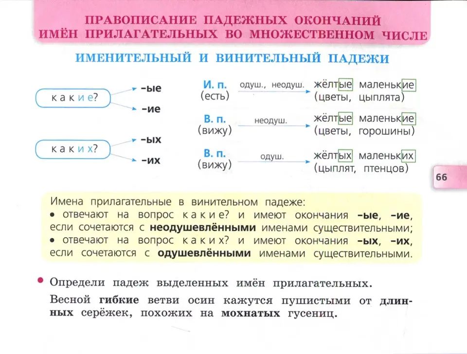 Канакина. Русский язык. 4 cl. Matériel approprié. (ФГОС) / УМК "Школа России"