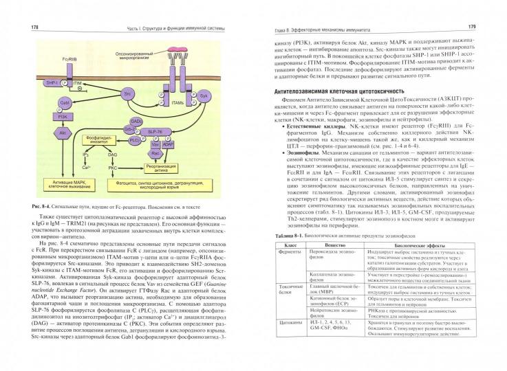 Иммунология : учебник / Р. М. Хаитов. — 3-е изд., перераб. и доп. — М. : ГЭОТАР-Медиа, 2016. — 496 с. — ил.