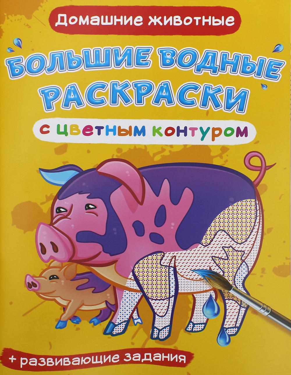 Большие водные раскраски с цветным контуром. Домашние животные (9789669877413)