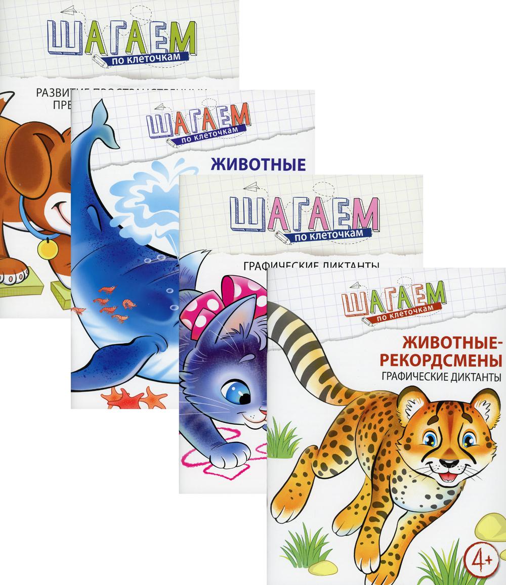 *Complexe. Шагаем по клеточкам / Модель Н.А.