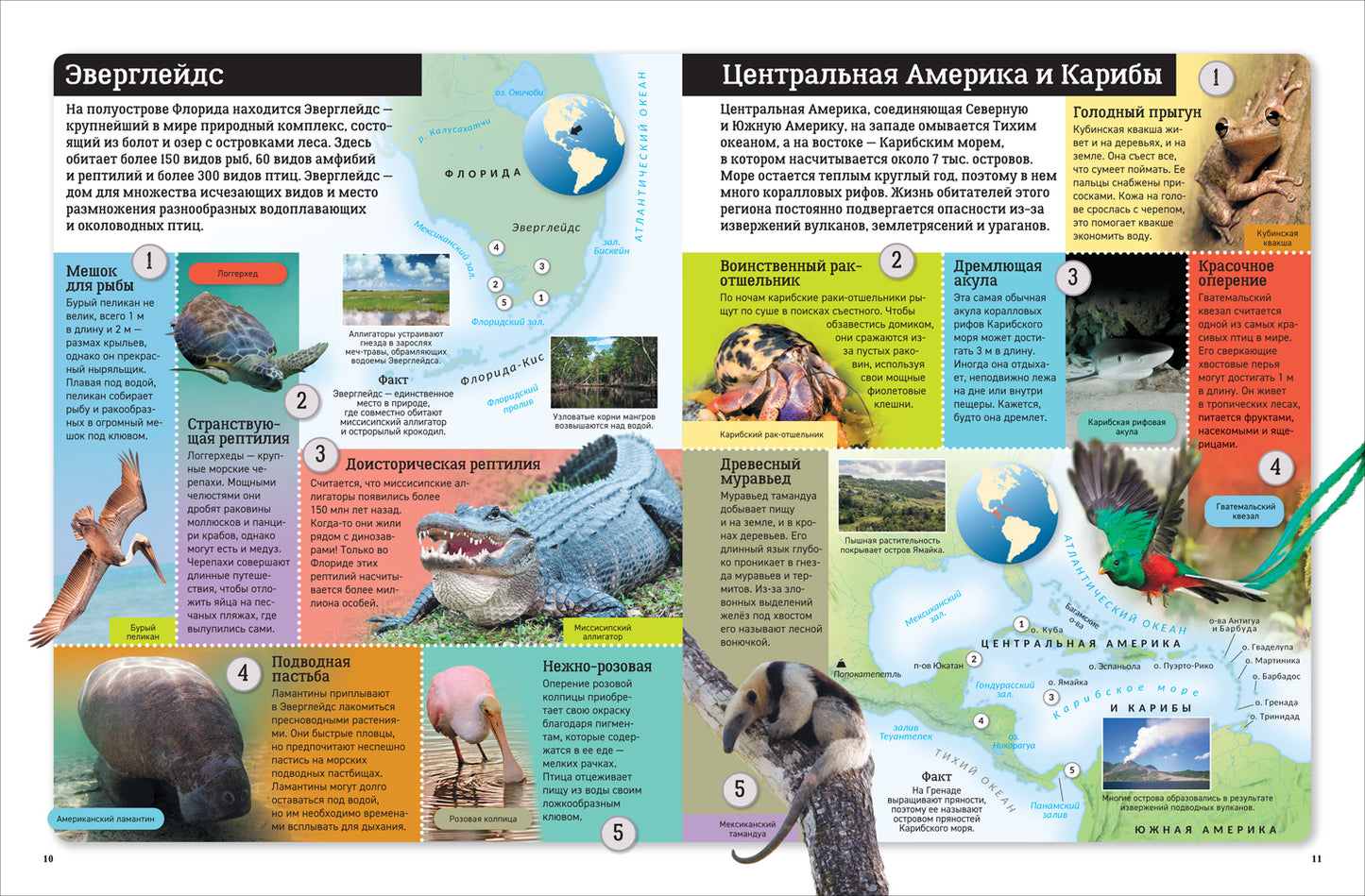 Atlas russe. Животные мира