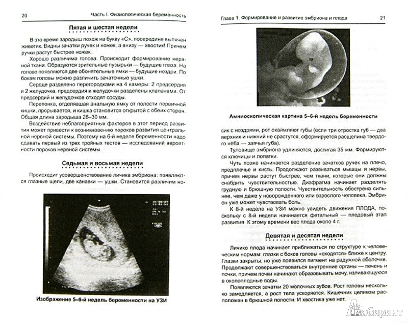 Заболевания и осложнения во время беременности