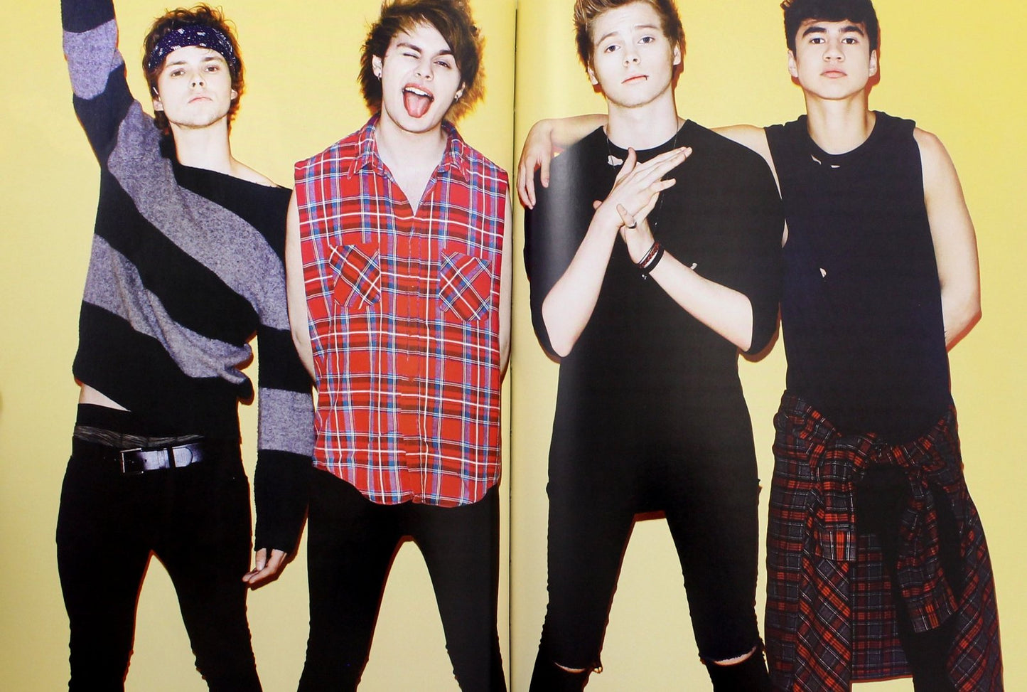 5 Seconds of Summer. История успеха