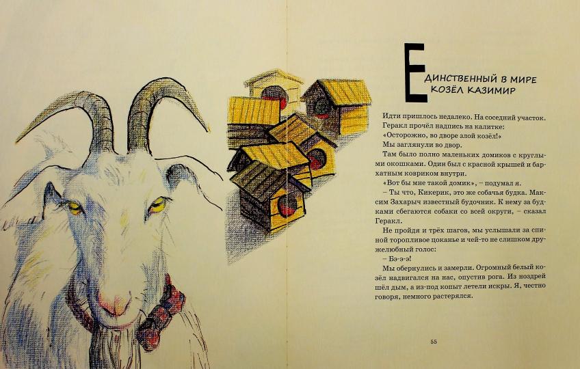 Кикерик у себя дома.