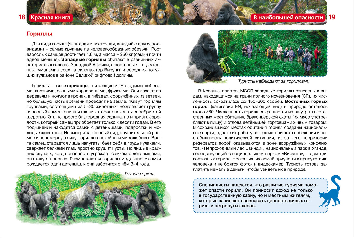 Красная книга (ДЭР)