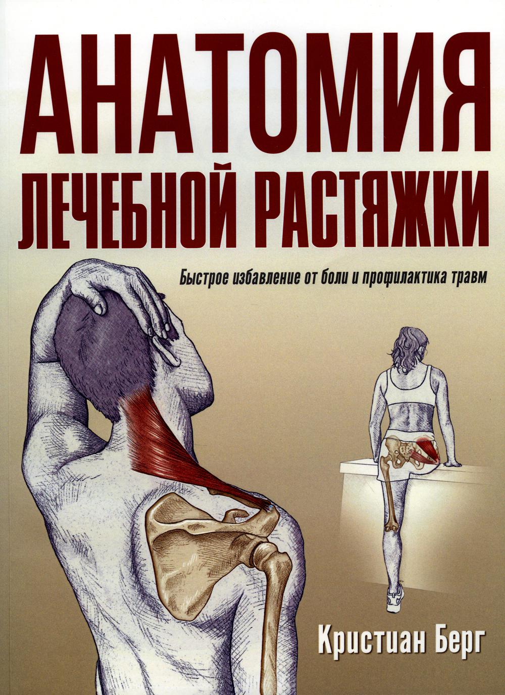 Анатомия лечебной растяжки: быстрое избавление от боли и профилактика травм