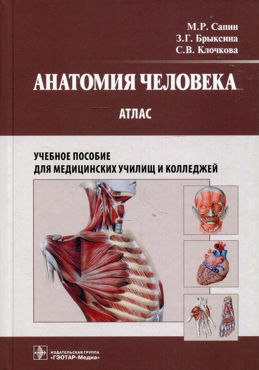 Анатомия человека : атлас : учеб. пособие для медицинских училищ и колледжей (34.02.01 «Сестринское дело», 31.02.01 «Лечебное дело» по дисциплине «Анатомия и физиология человека»)
