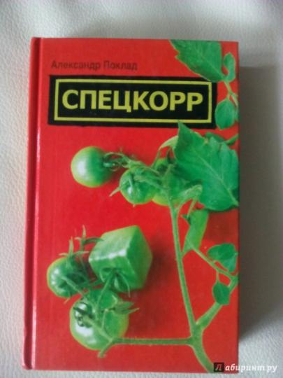Спецкорр