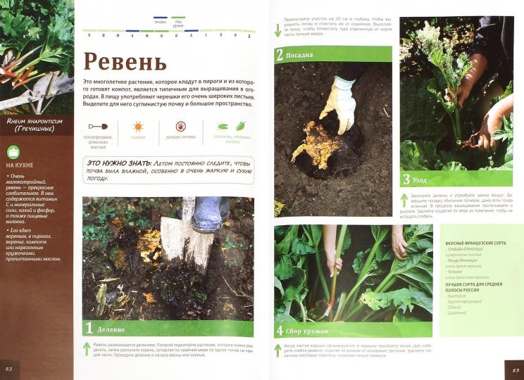 Ваш огород в иллюстрациях шаг за шагом. Овощи. Пряные травы. Брошар Д.