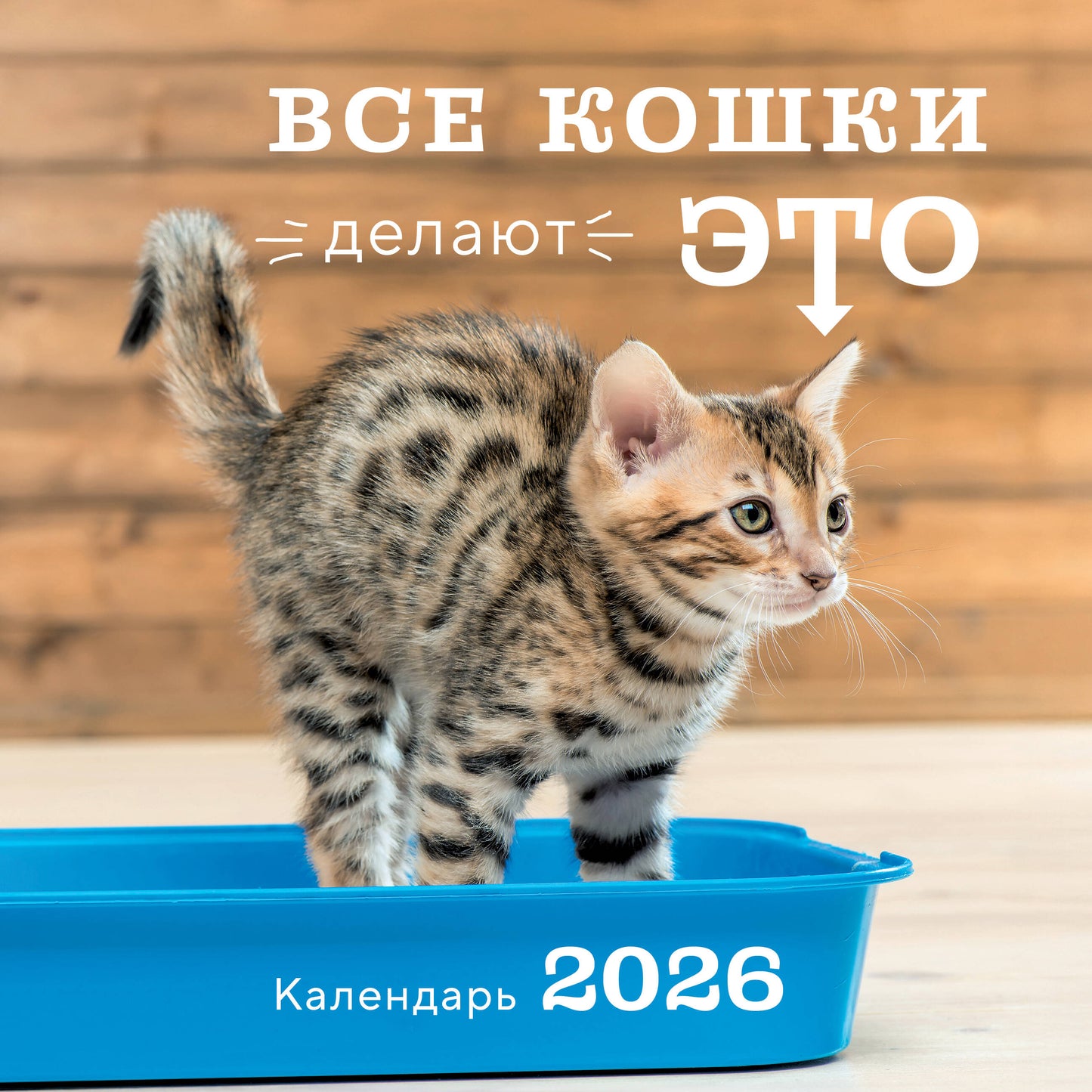 Все кошки делают это. Календарь настенный на 2026 год (300х300)
