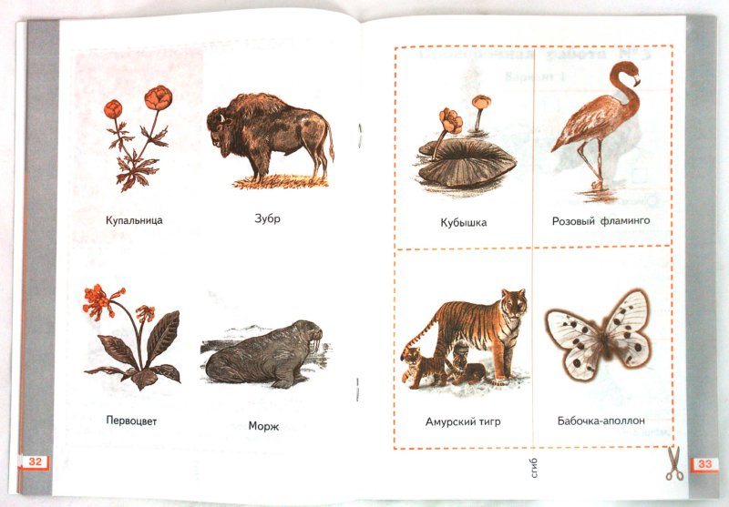 Окружающий мир. 1 класс. Рабочая тетрадь №2