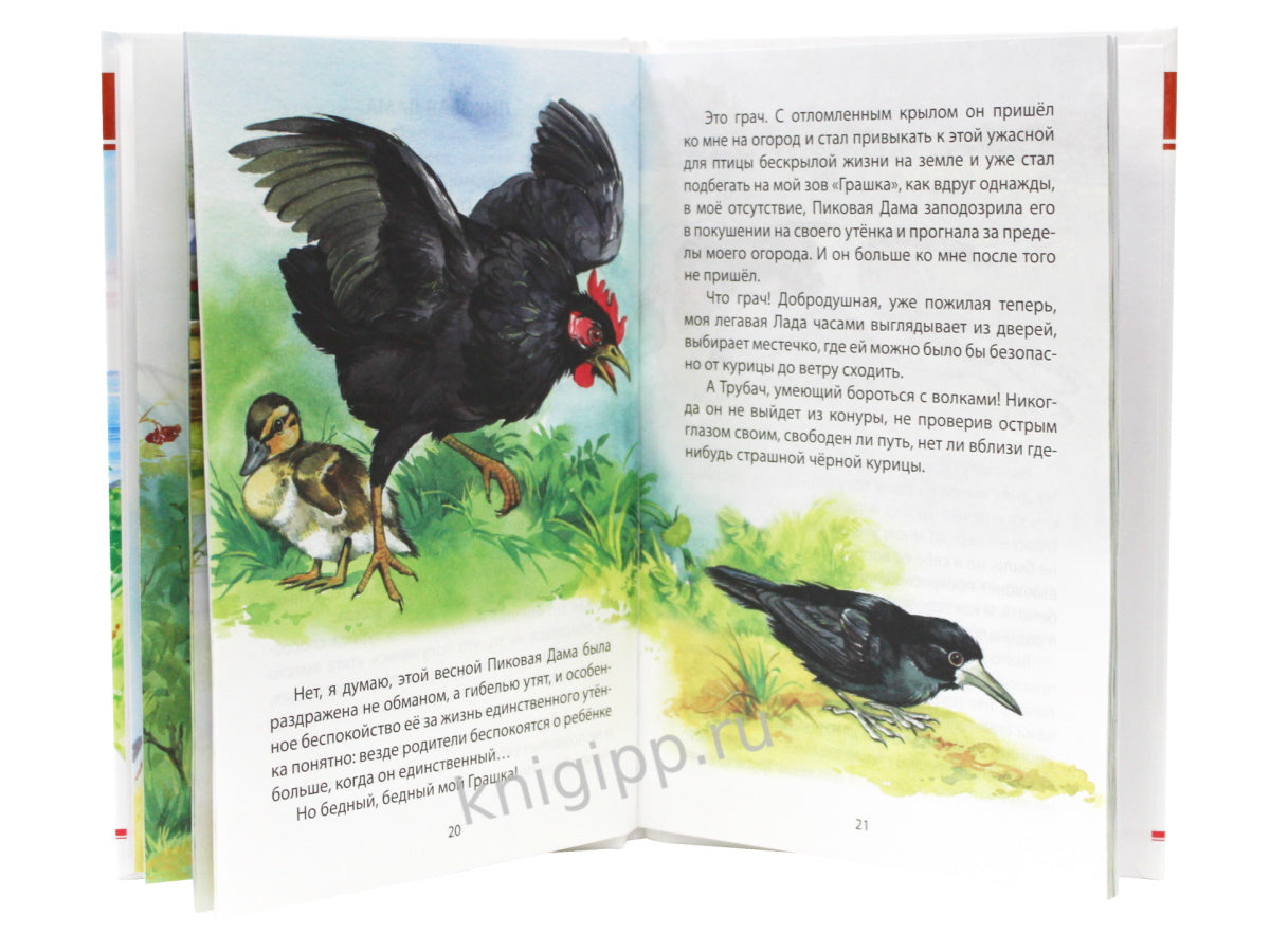 ВНЕКЛАССНОЕ ЧТЕНИЕ. M. Prisvin. РАССКАЗЫ О ЖИВОТНЫХ