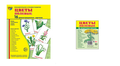 *Complexe. Дем. cartes СУПЕР Цветы полевые (2 formats: 173х220 et 63х87) / ВБ