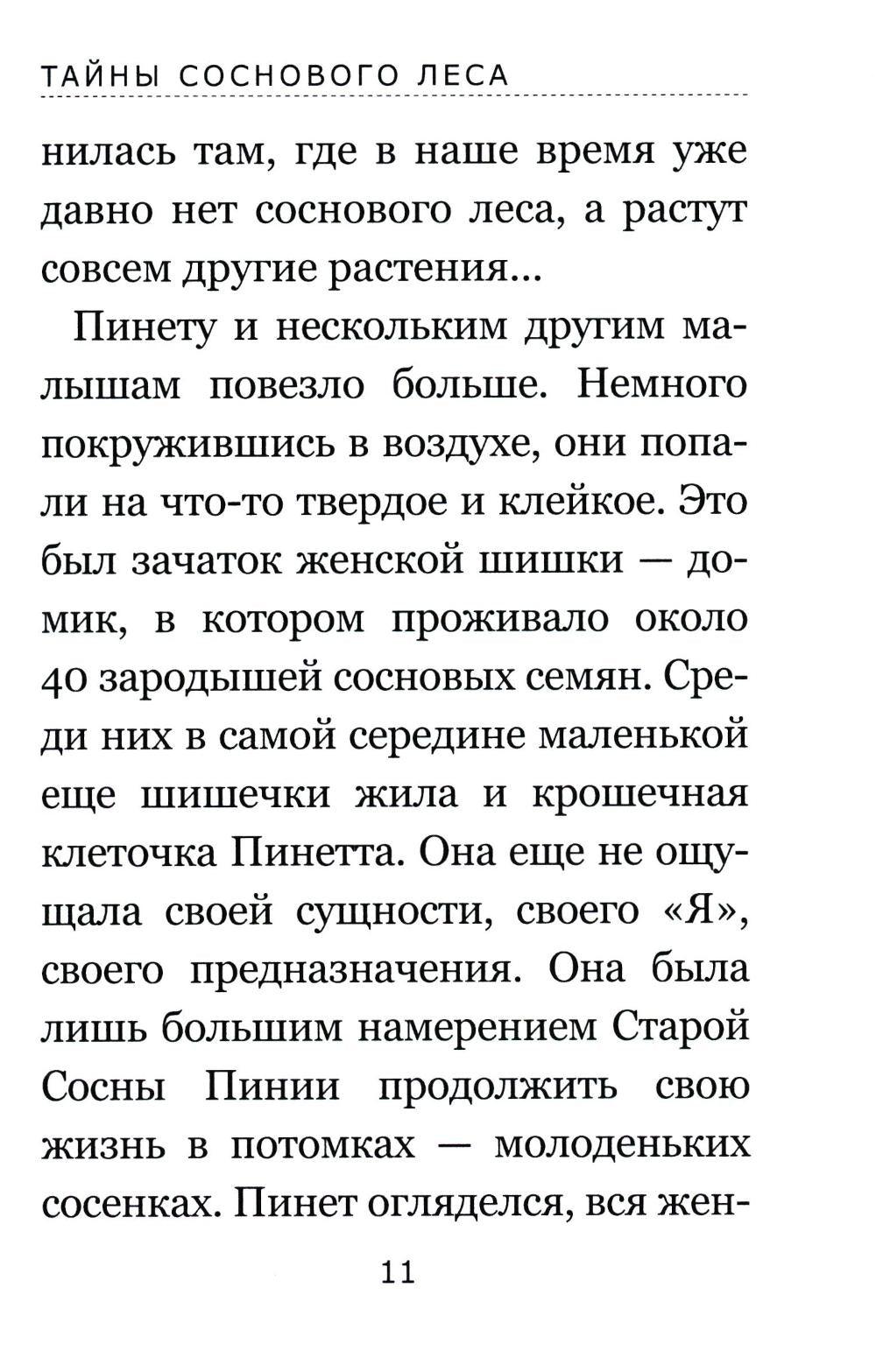 Тайны соснового леса
