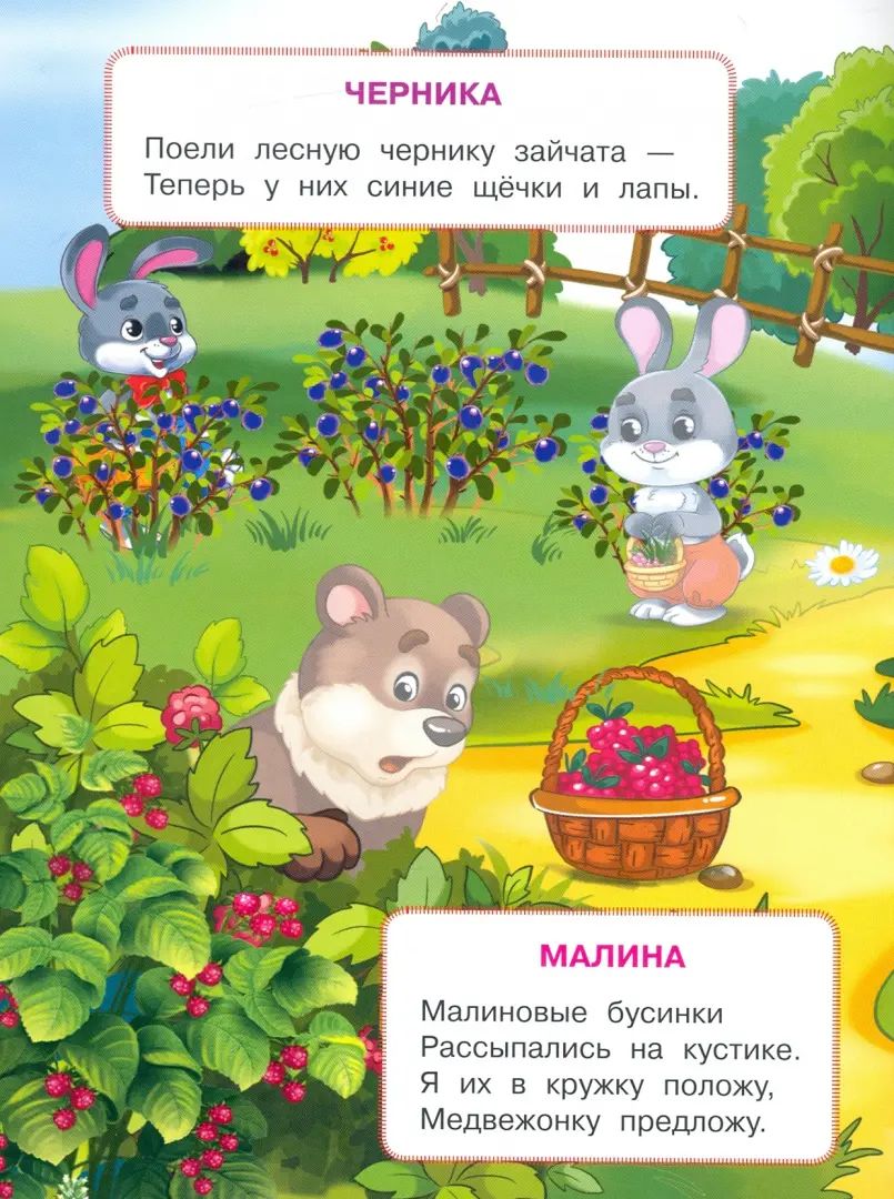Des œufs et des fruits. Играем и учимся (с наклейками). /Шестакова.