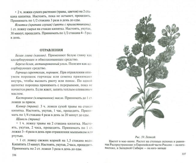 Маленькие уроки Большой экологии и записки из "Ветхого ARCHива"