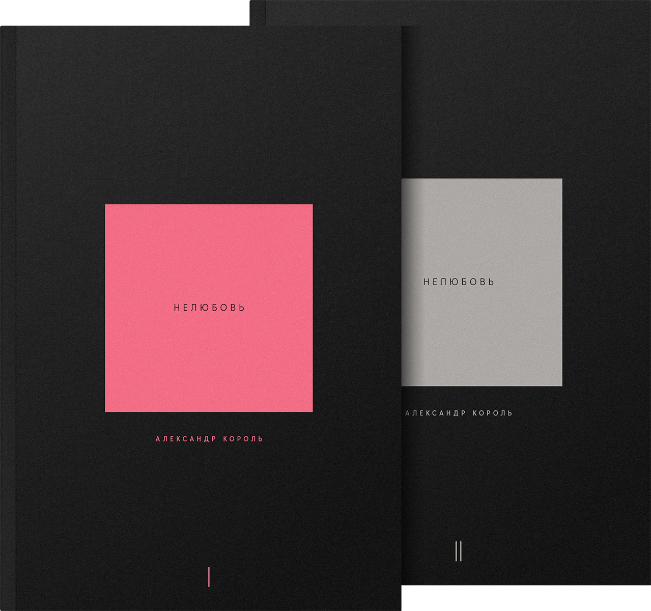 Non. Complexe de 2 livres