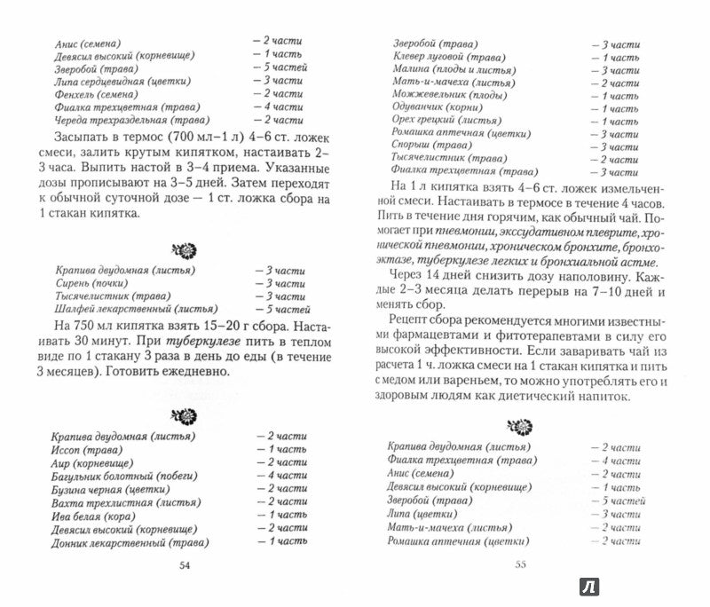 Крапива. Мифы и реальность