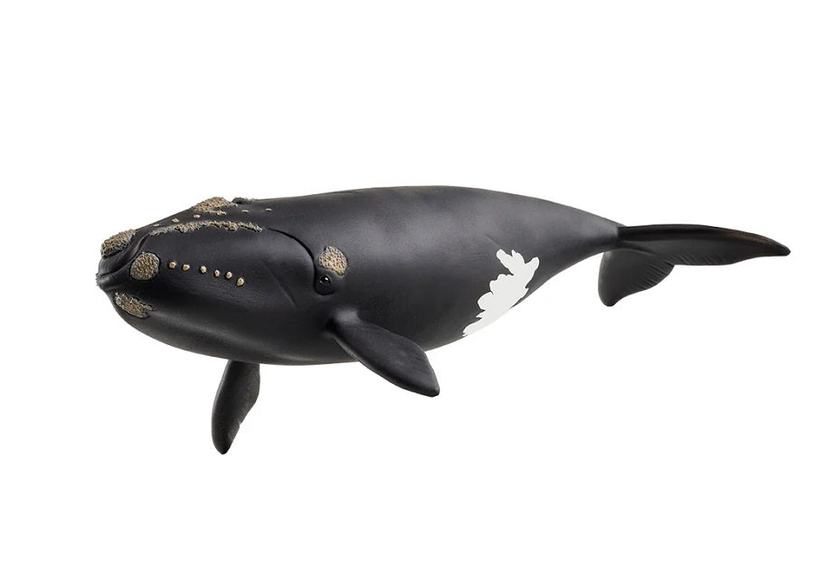 Schleich. Figurine art.14878 "Kit de voyage russe"