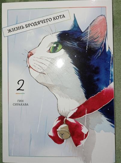 Жизнь бродячего кота. Т. 2: manga