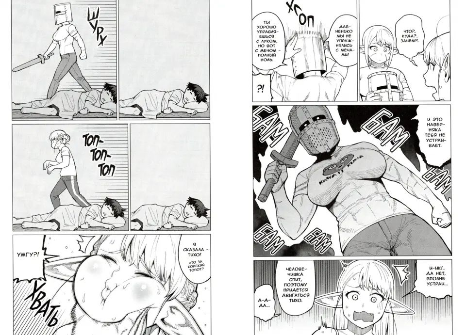 Elf ne peut pas le faire. Т. 4: manga