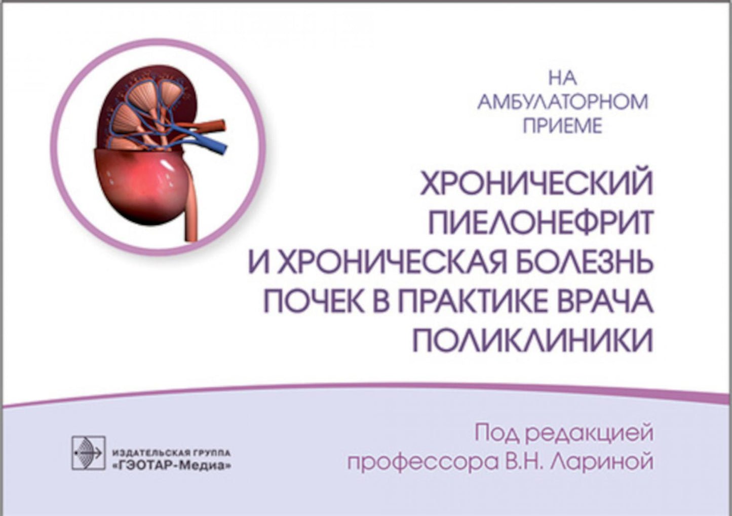 Le pilote chronologique et le chronophile sont très impliqués dans la pratique des politiques / под ред. В. H. Larinoïe. — Москва : ГЭОТАР-Медиа, 2023. — 144 с. : IL. — (Серия «На амбулаторном приеме»).