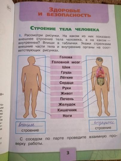 Плешаков (Школа России) Окружающий мир 2 кл. Рабочая тетрадь ч.1 (ФП2019 "ИП")(Просв.)