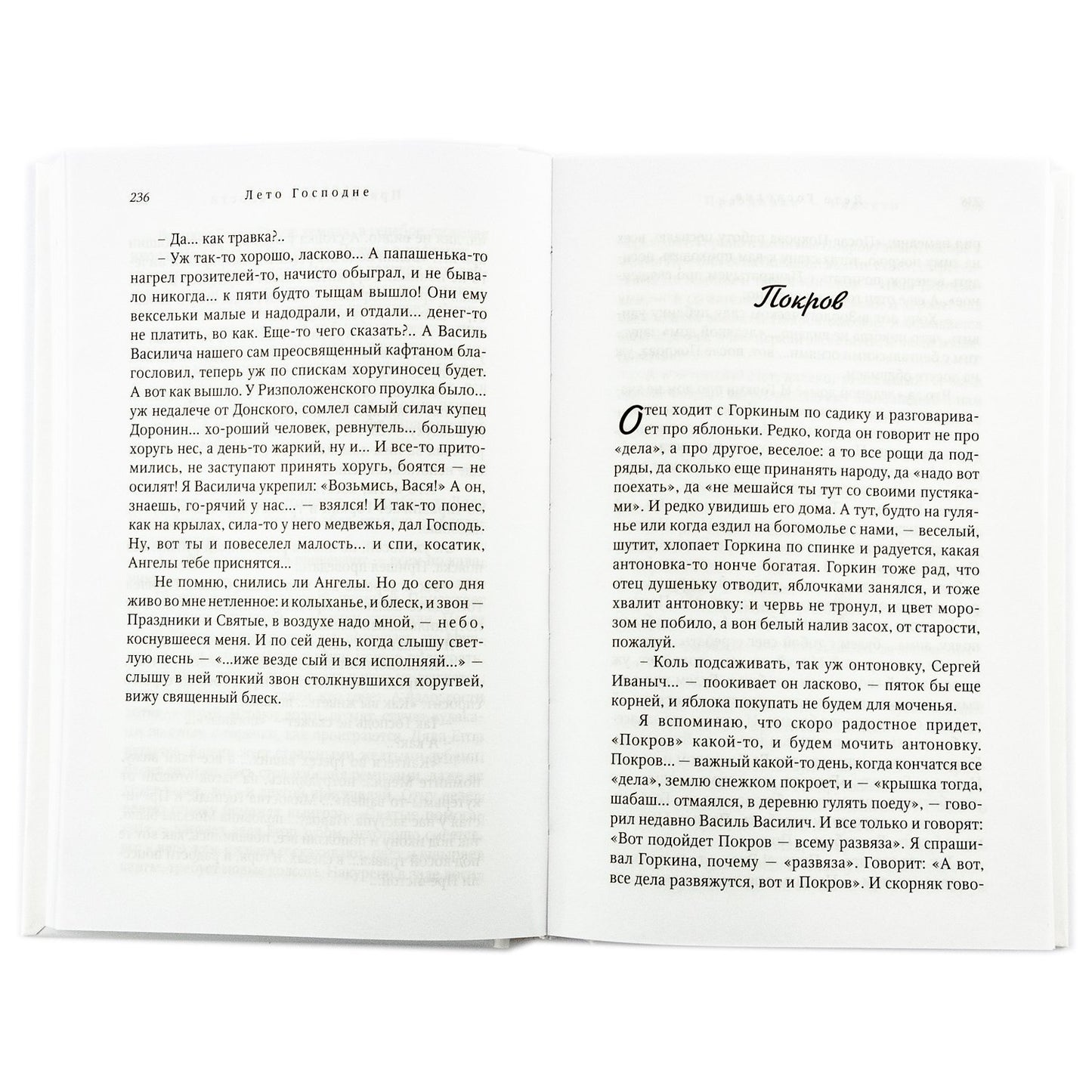 Лето Господне: román