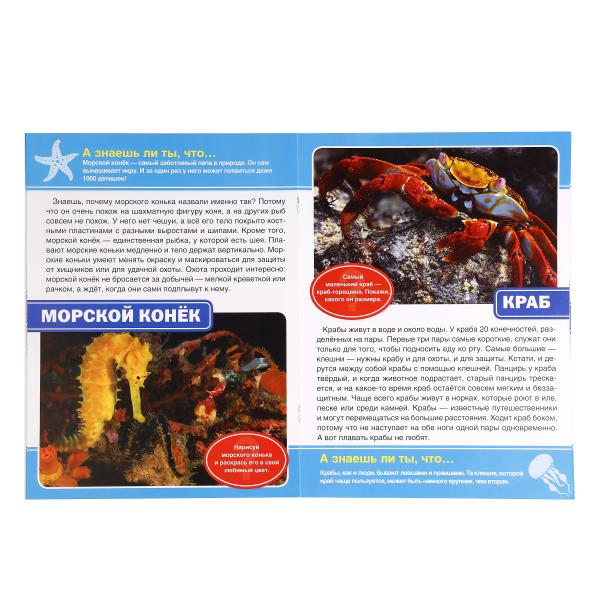 "УМКА". МОРСКИЕ ОБИТАТЕЛИ (ЭНЦИКЛОПЕДИЯ А4 С РАЗВИВАЮЩИМИ ЗАДАНИЯМИ) 214Х290ММ, 16 СТР. в кор.30шт