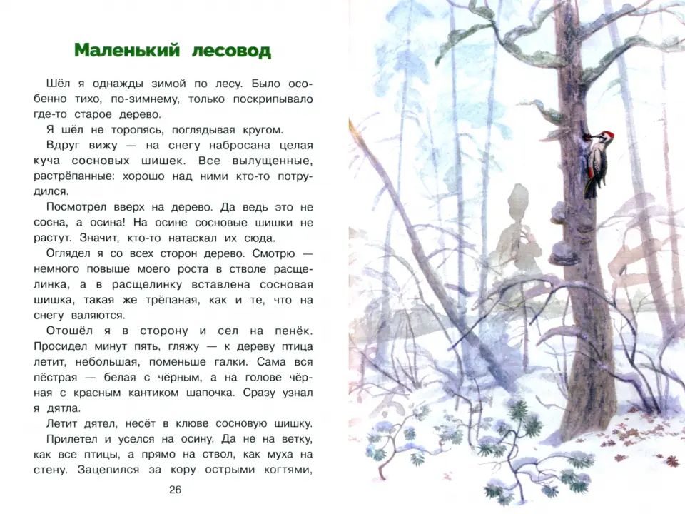 БШ. Пушок /Скребицкий Г. A.