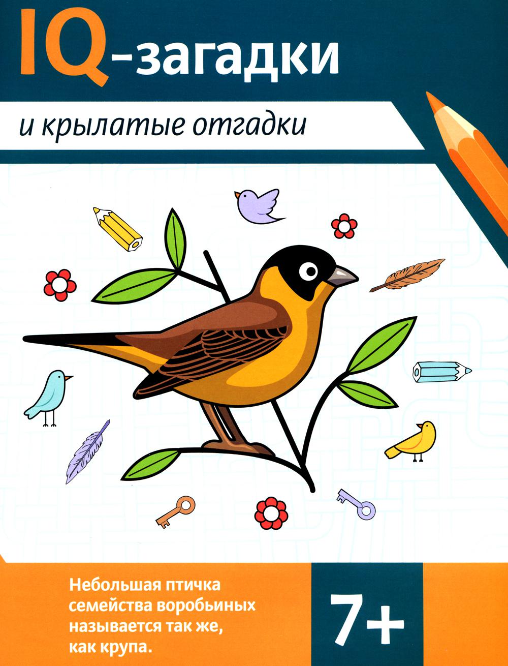 Niveaux de QI et niveaux de confiance : 7+