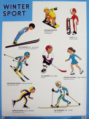 Плакаты (англ). Winter Sport (Зимние виды спорта)