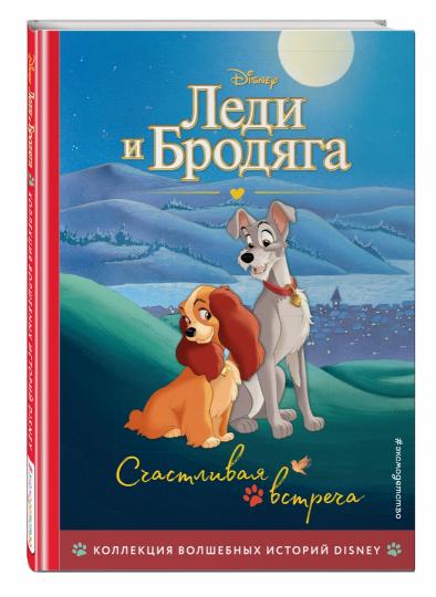 Lede et Brodjaga. СчастLIвая встреча. Книга на чтения с ветными картинками