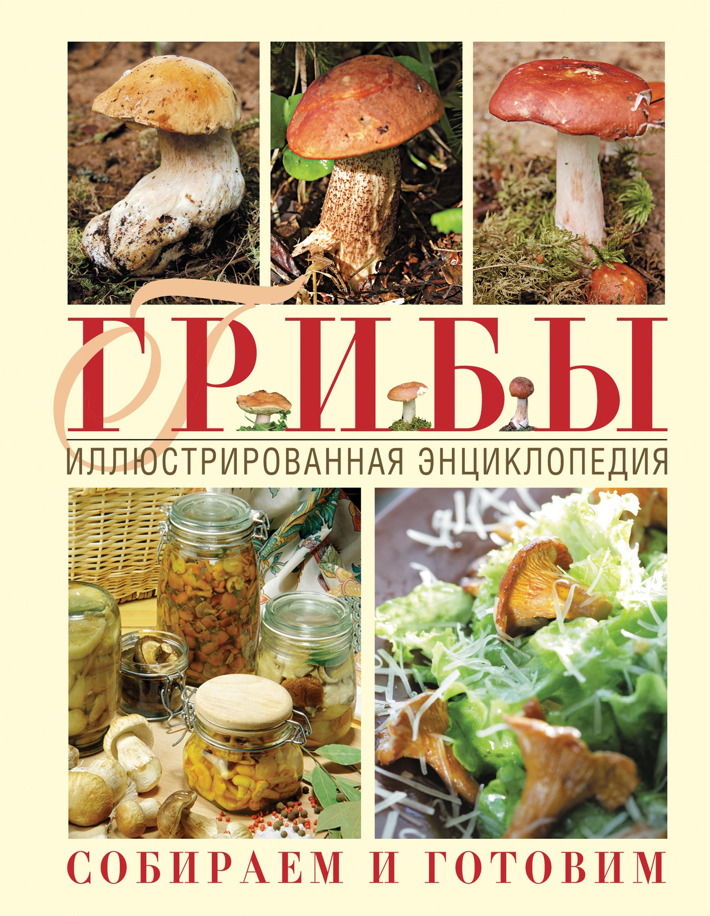 Грибы. Иллюстрированная энциклопедия. Собираем и готовим