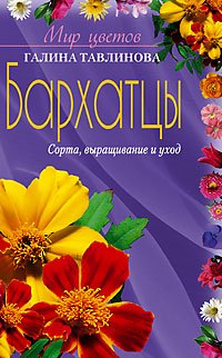 Бархатцы сорта выращивание и уход