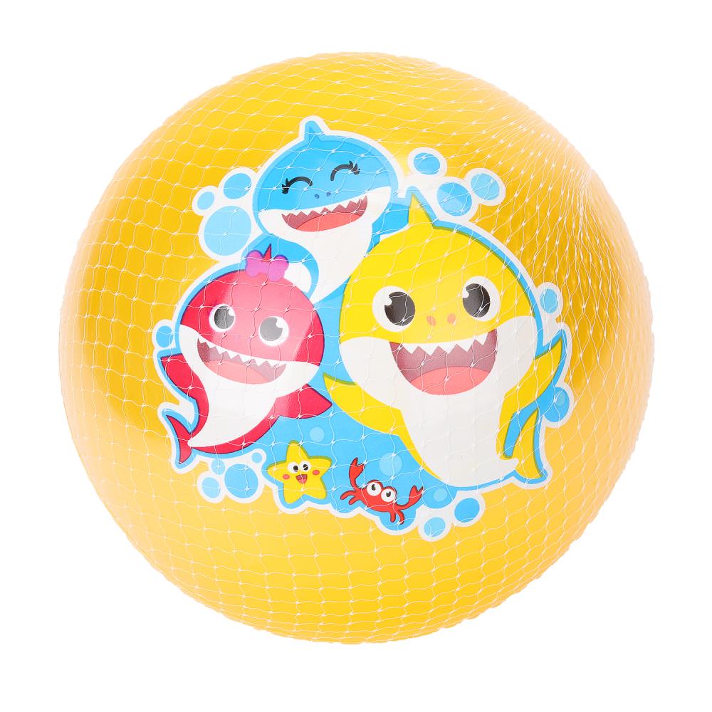 AD-9(SHARK) (144) Il y a 23 minutes de moins qu'un bracelet en cuir, dans un ensemble de 144 pouces d'Irlande