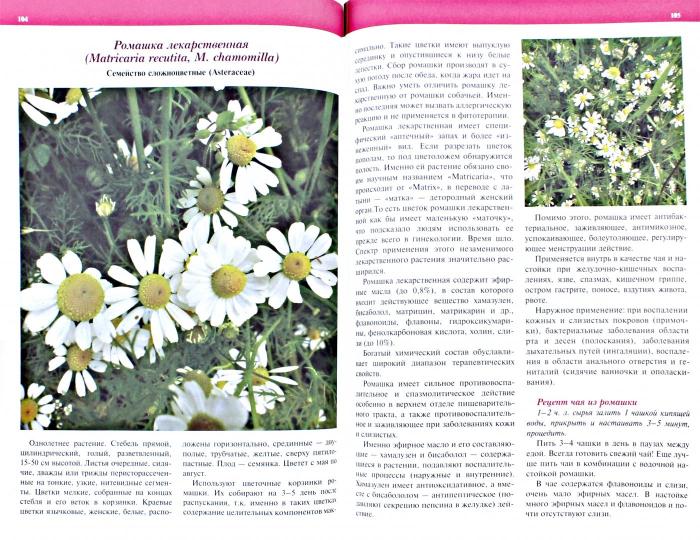 12 mois dans l'appartement.Pratique et théorie.possible pour la thérapie physique (16+)