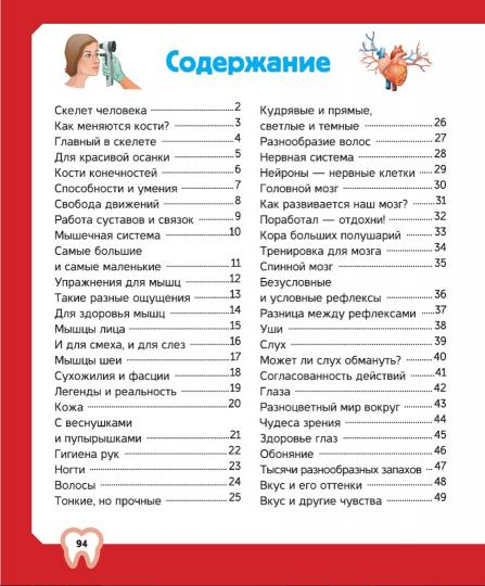 Тело человека