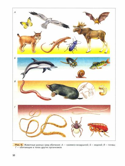 Биология. 7 класс. Учебник.