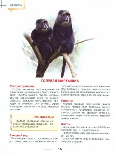 ЭНЦИКЛОПЕДИЯ ДЛЯ ДЕТЕЙ. ОБЕЗЬЯНЫ