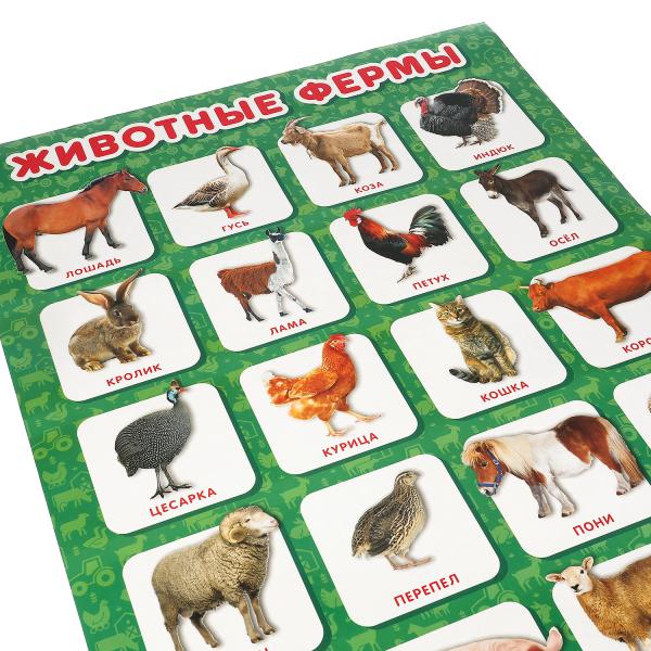 Животные фермы. Plaque A2. Умка уп-10шт в кор.5уп
