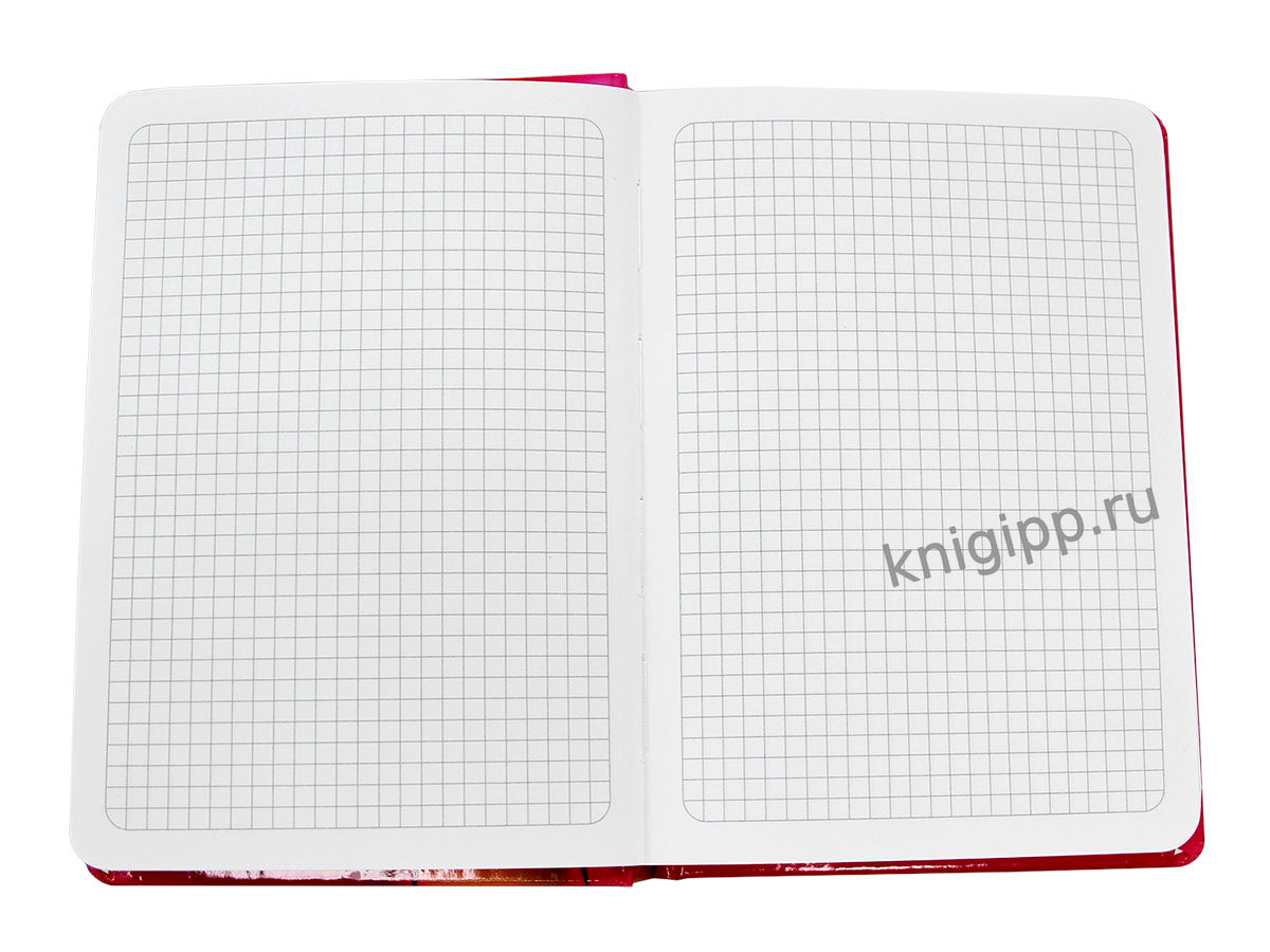 Mon Art. БЛОКНОТ в клетку 3D. Апельсины